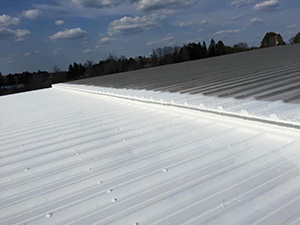Metal Roof1