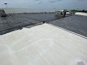 Roof Coating1