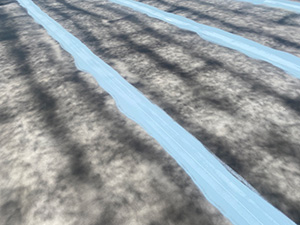 Roof Coating