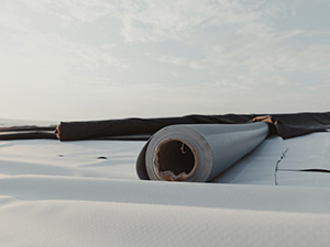 Single-Ply Roofing