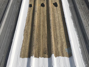 Skylight Repair Services1